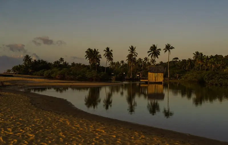 Lagoa calma refletindo coqueiros no fim de tarde